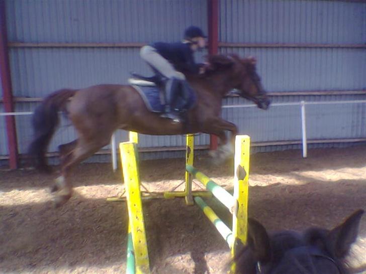 Frederiksborg Flicka billede 12