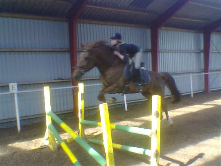 Frederiksborg Flicka billede 13