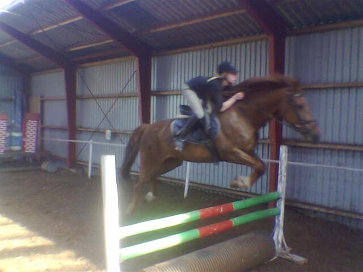 Frederiksborg Flicka billede 14