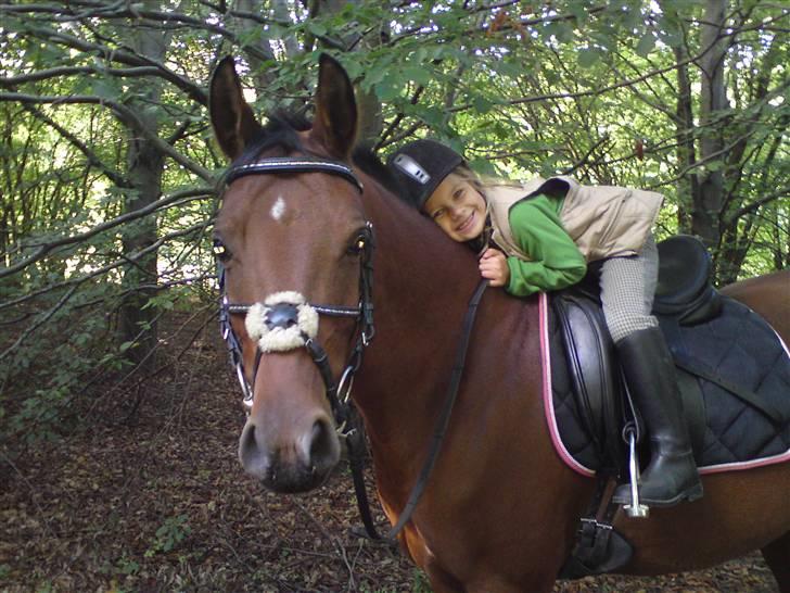 Arabisk fuldblod (OX) A/G'S FIRST FLAME OX 3884 - esther og tøsen oktober 2009 billede 13