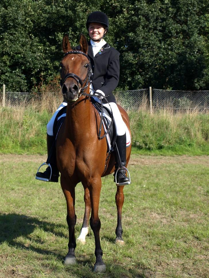 Arabisk fuldblod (OX) A/G'S FIRST FLAME OX 3884 - Broløkke stævne D 7-6-08 billede 15