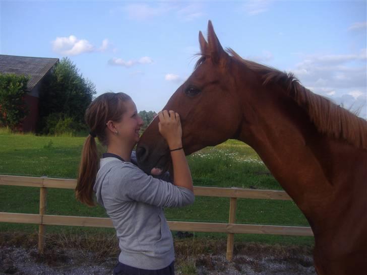 Trakehner Hakamada - JEG ELSKER DIG! :´) billede 6