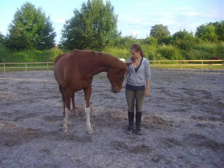 Trakehner Hakamada - Lidt horsemanship :D billede 15