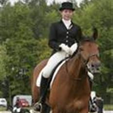 Dansk Varmblod Nevell