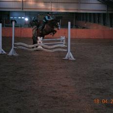 Hannoveraner A la Luigi R.I.P