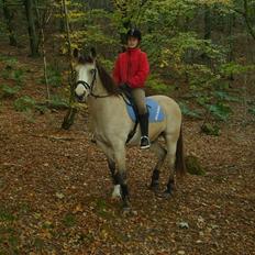 Anden særlig race Marong Wales <3