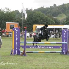 Welsh Pony (sec B) Dixie  / † /