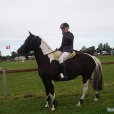 Pinto Solvangs Prinsesse Dina