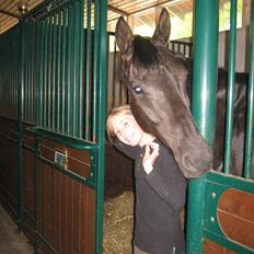 Dansk Varmblod Jazzie 