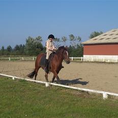 New Forest Christell ..:RIP:.. :'/