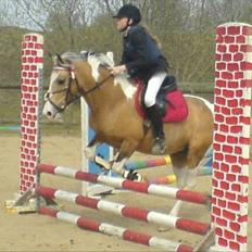 Pinto Mannabakkens leviosa