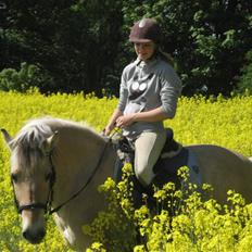 Fjordhest Silvia.. R.I.P