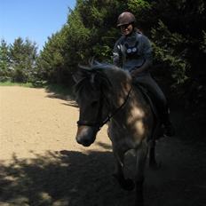 Fjordhest Silvia.. R.I.P