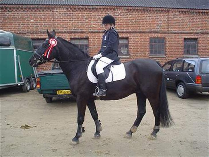 Anden særlig race Phyrus - 1. plads i første LD billede 10