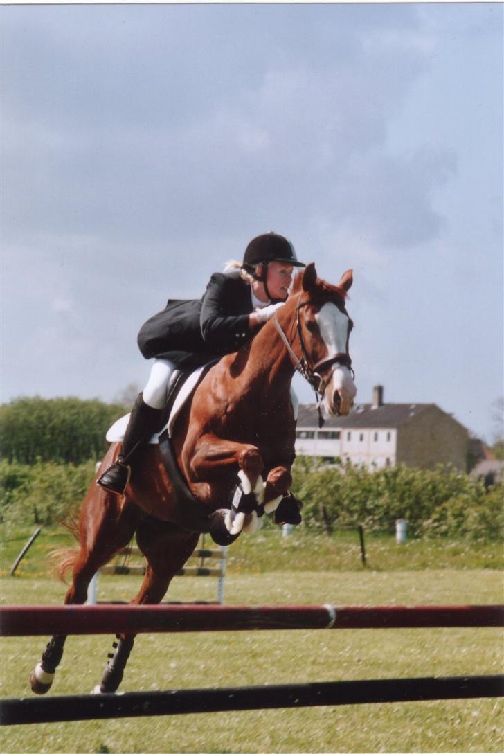 Anden særlig race Sahara - Stævne i Ranum, maj 2007 billede 12