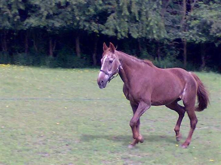 Anden særlig race Malou - velkommen til malous profil...kig venligst alle billederne igennem inden du bedømmer billede 1