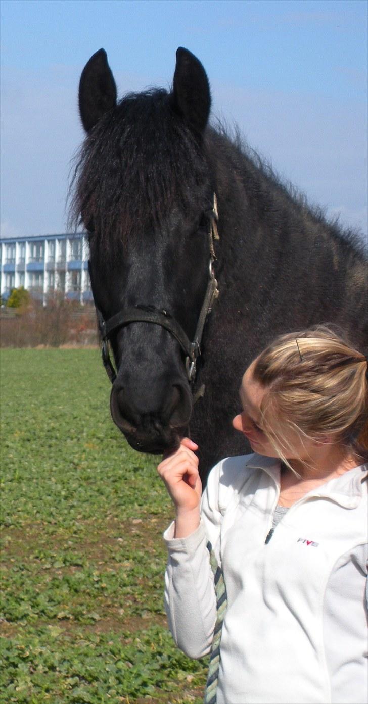 Frieser Naomi Sophie  - jeg elsker naomi sophie  Fotograf: Mig! billede 7