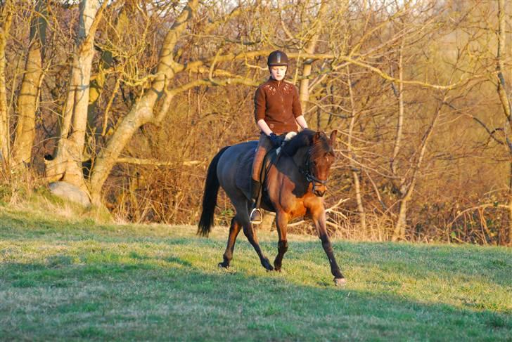 Anden særlig race Simba <3 - 5 - Jeg lovede, at vi skulle være et team ! <3 billede 5