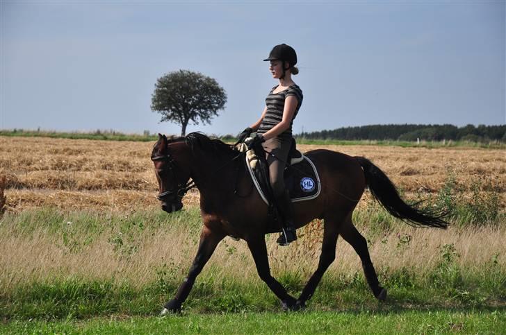 Anden særlig race Simba <3 - 6 - Jeg lovede, at vi skulle få erfaring sammen ! <3 billede 6