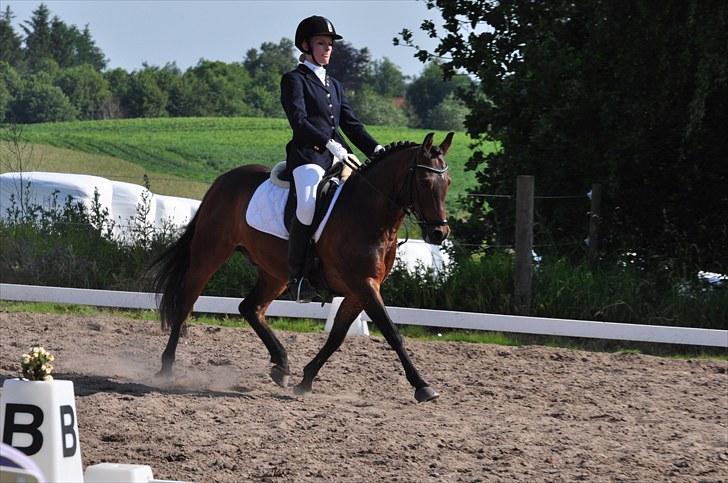 Anden særlig race Simba <3 - 7 - Jeg lovede at, jeg ville give dig lige så meget, som du gav mig ! <3 billede 7