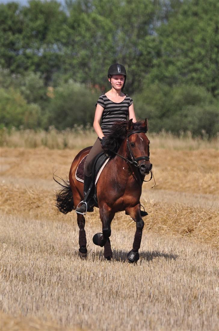 Anden særlig race Simba <3 - 8 - Jeg lovede, at jeg aldrig ville glemme dig ! <3 billede 8