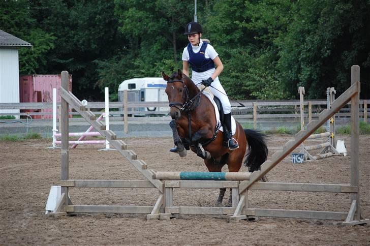 Anden særlig race Simba <3 - 11 - Jeg lovede, at vi altid skulle have det sjovt sammen ! <3 billede 11