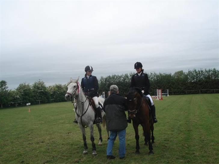 Anden særlig race Irish Delicious(SOLGT) :( billede 20