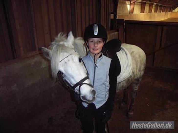 Anden særlig race Gimli -  Hejzza, Hey Jeg skal alså oss lige være med på billedet! -og velkommen til min profil :) (Fotograf: TIia <3 Tak ) billede 1