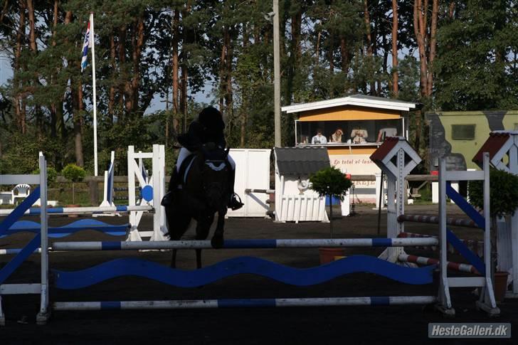Hollandsk Sportspony Silvana/ solgt - Silles 3. stævne. billede 7