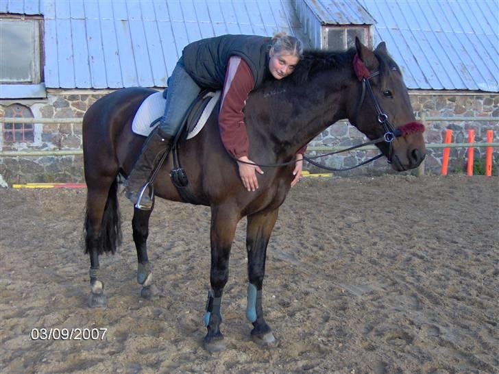 Traver Annalise's Bar (Sir Basil)EFTERLYSES! billede 13