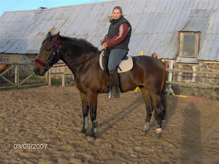 Traver Annalise's Bar (Sir Basil)EFTERLYSES! - Min sidste dag på Basse billede 14