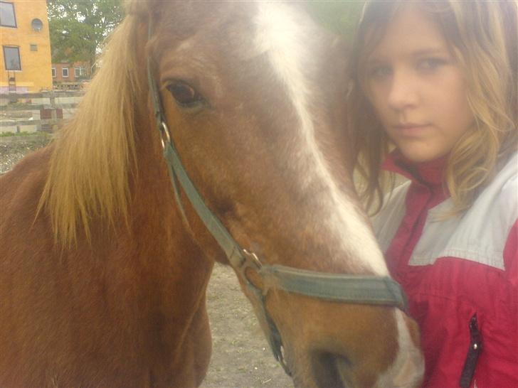 Anden særlig race Thor (Død 2007) - Thor<3 billede 1