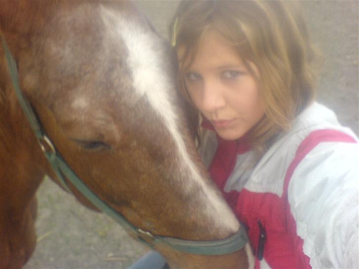 Anden særlig race Thor (Død 2007) billede 4