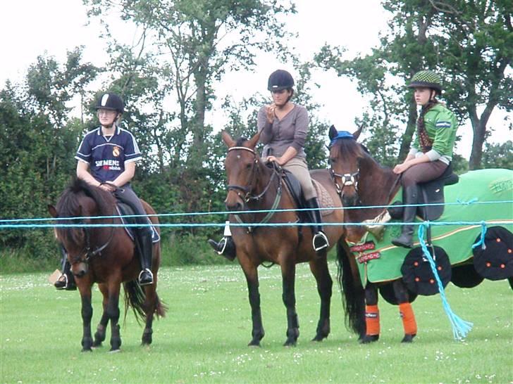 Anden særlig race Polly ¤Supermule¤ RIP - Sommeren 07 - den lille pige Ü billede 20