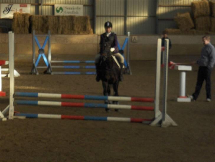 Anglo Araber (AA) Marino Campari Savnet  - Mig og Marino <´33 billede 3