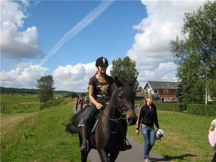 Anglo Araber (AA) Marino Campari Savnet  - Marino og jeg i Vejrumbro, på vej til optog billede 4