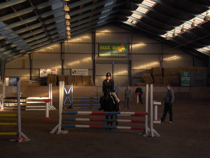 Anglo Araber (AA) Marino Campari Savnet  - LD med min søs på ryggen :P  billede 8