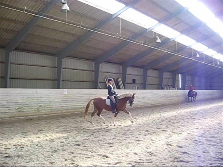 DSP Friis Jesse Bell  billede 12