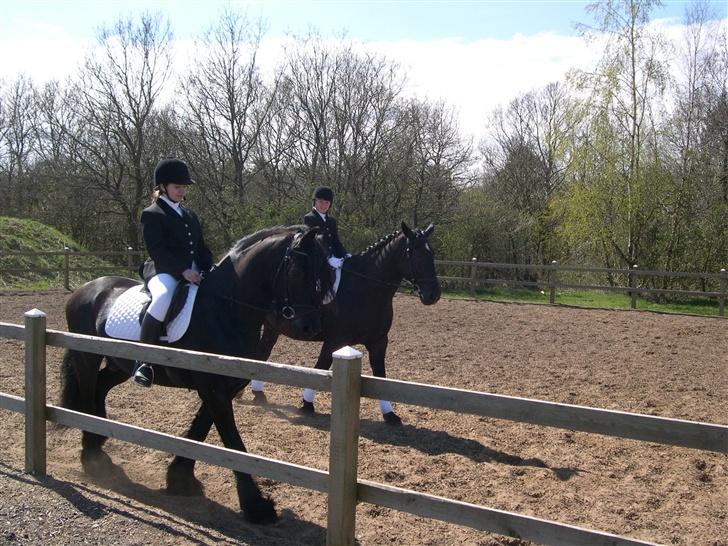 Frieser Evert fän Bartlehiem - Stævne på Vasehus Rideklub lørdag d. 21 april 2007. billede 7