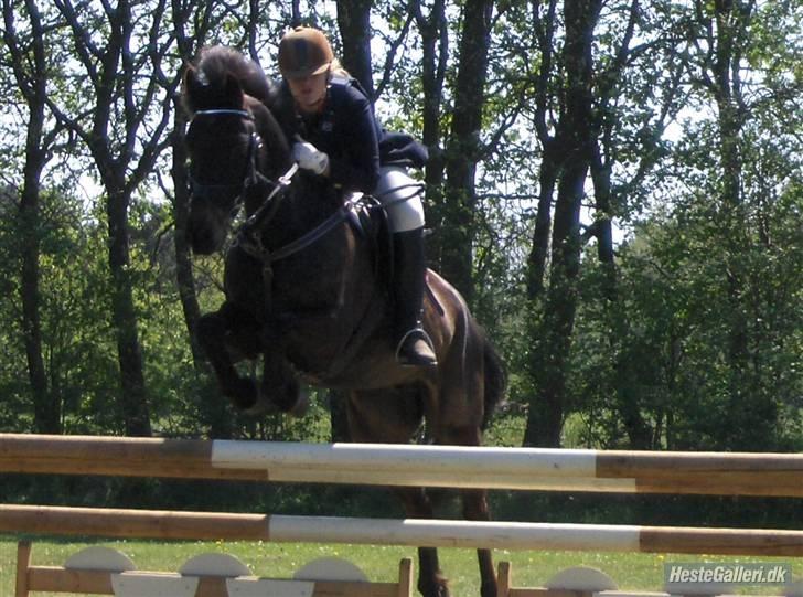 DSP Batman (R.I.P) - Stævne i NVR - MB. Fotofraf: Camilla Bruun billede 6