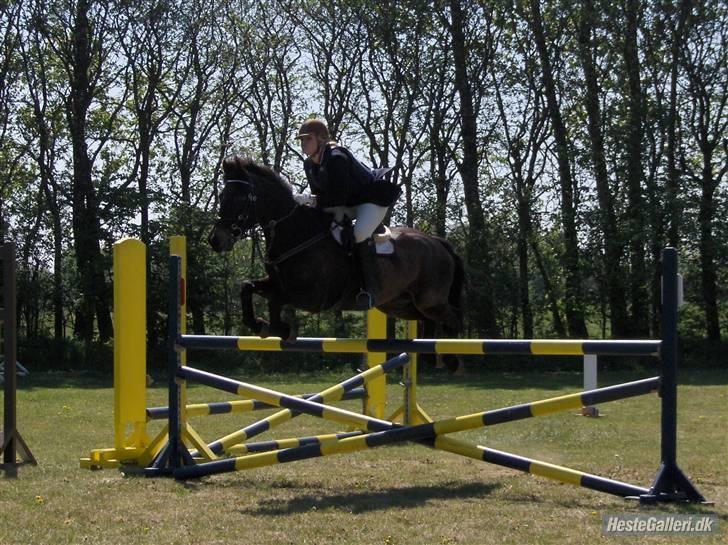 DSP Batman (R.I.P) - Stævne i NVR - MB. Fotofraf: Camilla Bruun billede 8