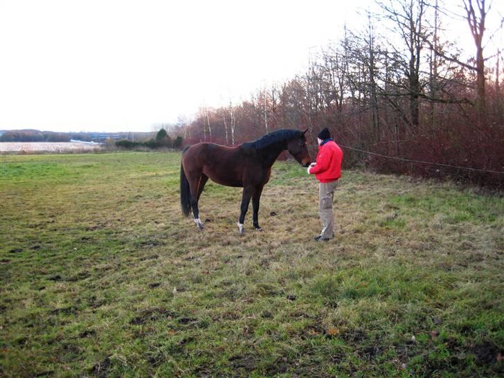 Dansk Varmblod   Victoria~Rest In Peace† - Nr. 8.  Den lille pels-klump og min far :´) billede 8