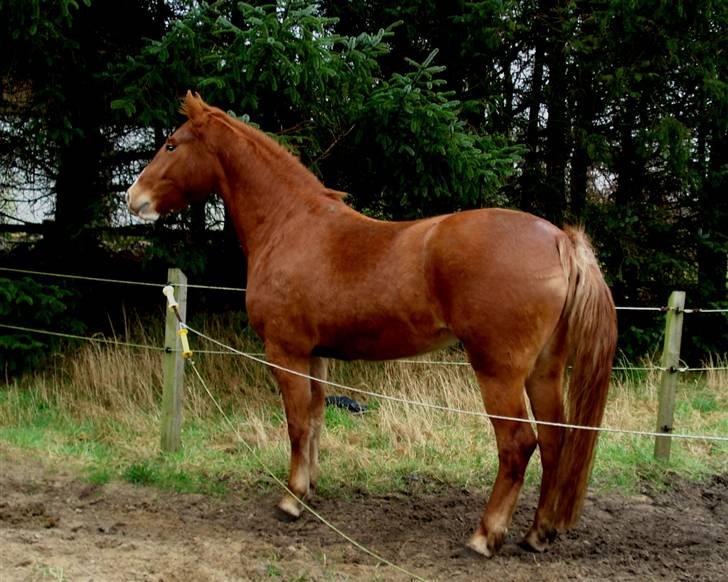 Frederiksborg <3 Melissa <3 - Mig, jeg kan se noget deroppe.  billede 4