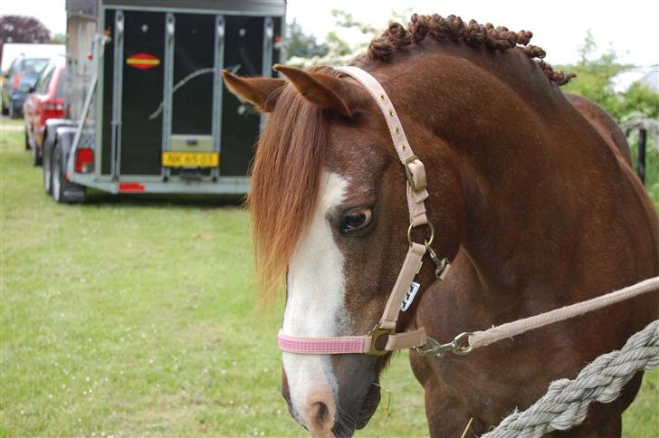 Anden særlig race Farmens Tarzan<3 billede 11