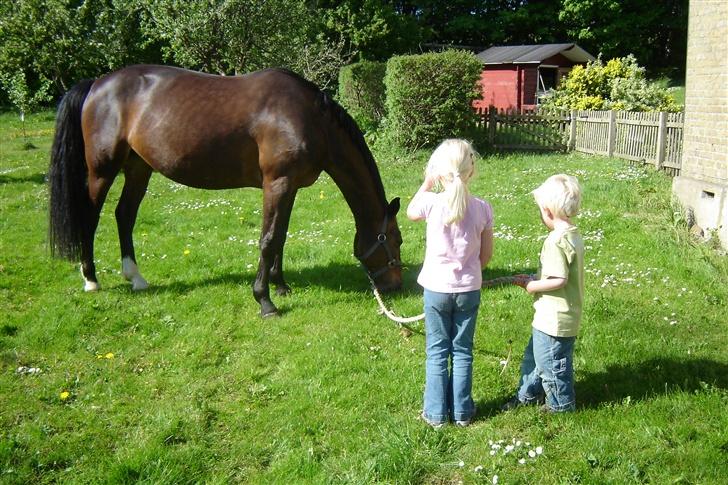 Anden særlig race unik - lærer børnene at kende billede 4
