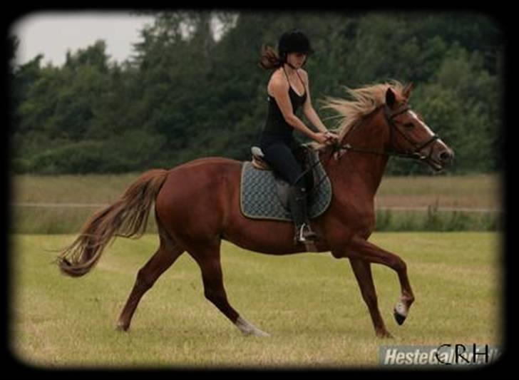 Traver Charmaine *mit alt* billede 8