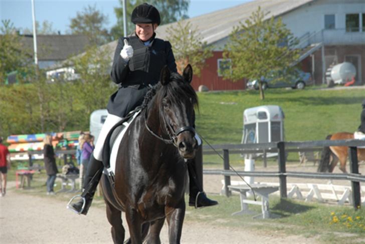 Trakehner Essens R.I.P min smukke.. - vel overstået .... :-) billede 17