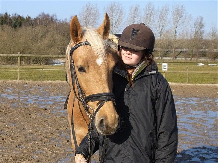 Palomino Guldhyppen Disalica :-I  - Disalica og jeg, efter lidt ridning :D.. Taget af mor! :* billede 8