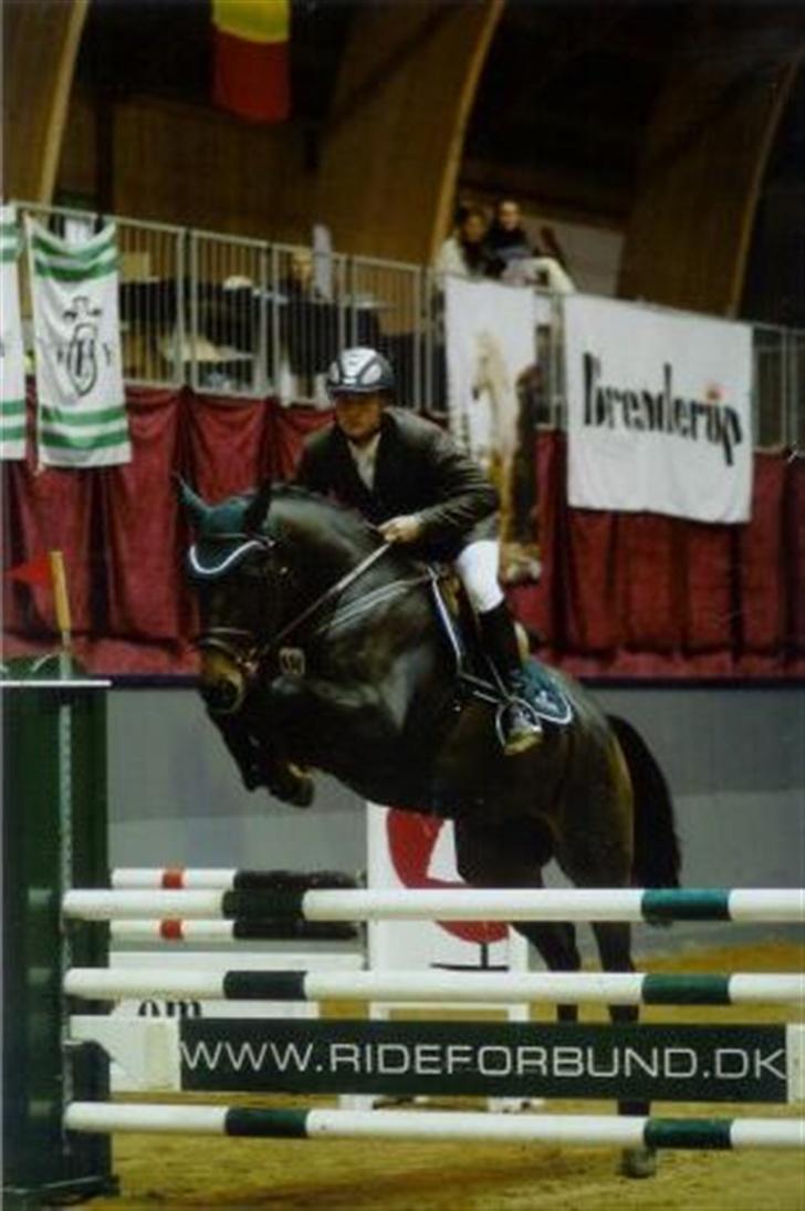 Dansk Varmblod Toftgaards Liberty - A finalen 2006  billede 2