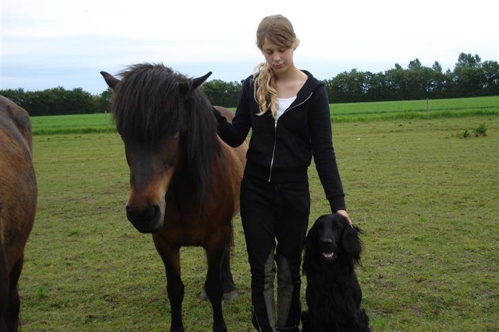 Islænder bylting - alle sammen go´e venner :P billede 10